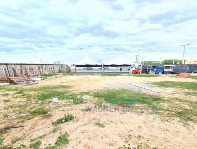 Terreno para Venda, em Balnerio Rinco, bairro Centro