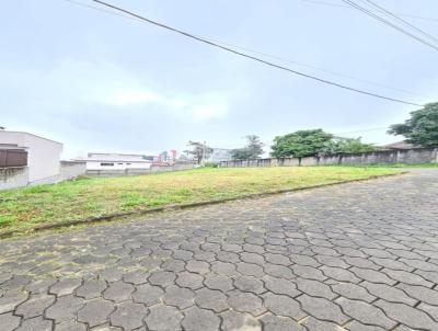 Terreno para Venda, em Cricima, bairro Operria Nova