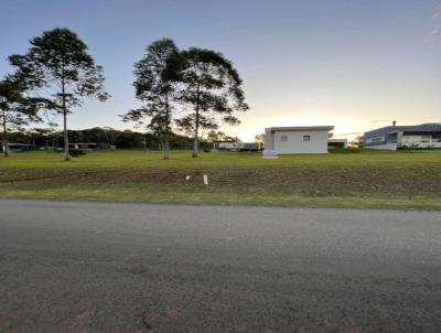 Terreno para Venda, em Cricima, bairro Primeira Linha