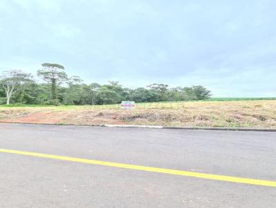 Terreno para Venda, em Iara, bairro Cristo Rei