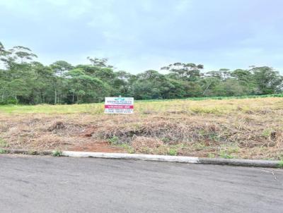 Terreno para Venda, em Iara, bairro Cristo Rei