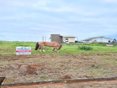 Terreno para Venda, em Iara, bairro Alto da Colina