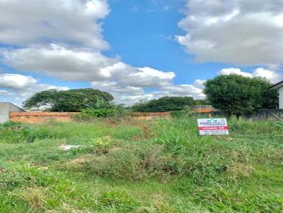 Terreno para Venda, em Iara, bairro Tereza Cristina