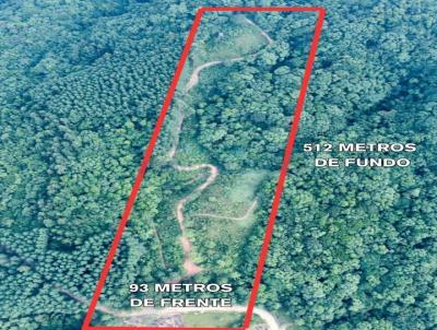 Terreno para Venda, em Cricima, bairro Naspolini