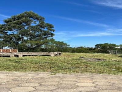 Loteamento para Venda, em Iara, bairro Tereza Cristina
