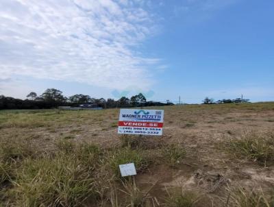 Terreno para Venda, em Iara, bairro Vila So Jos