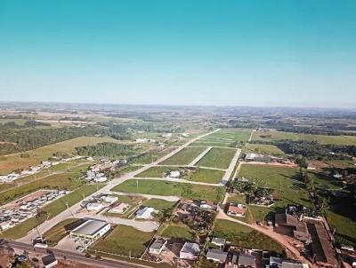 Terreno Residencial para Venda, em Iara, bairro Linha Anta