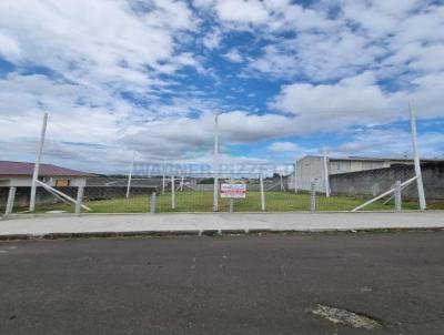 Terreno para Venda, em Iara, bairro Jardim Elizabete
