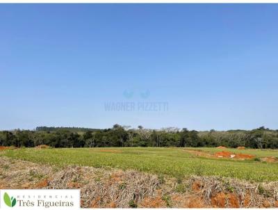 Loteamento para Venda, em Cricima, bairro Dagostim