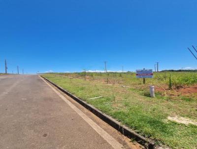 Terreno para Venda, em Iara, bairro Primeira Linha Sango