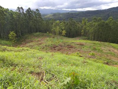 Terreno para Venda, em Siderpolis, bairro Estrada Geral