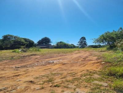 Terreno para Venda, em Iara, bairro Liri