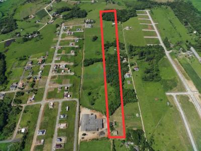 Stio para Venda, em Iara, bairro Linha Anta, 4 dormitrios, 1 banheiro