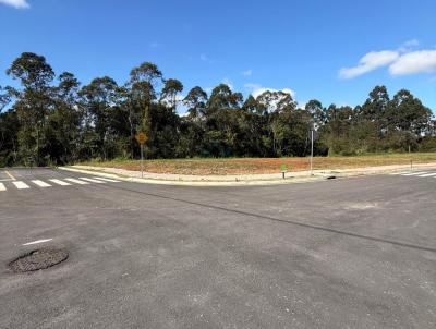 Terreno para Venda, em Iara, bairro Cristo Rei