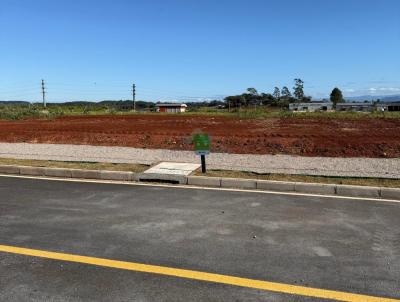 Terreno para Venda, em Iara, bairro Cristo Rei