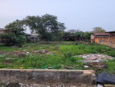 Terreno para Venda, em Cricima, bairro Pinheirinho