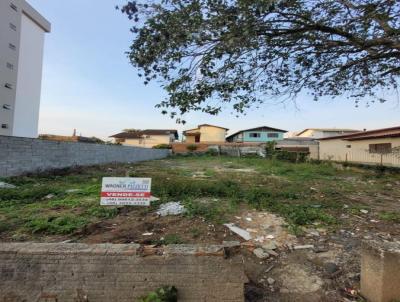 Terreno para Venda, em Cricima, bairro Universitrio