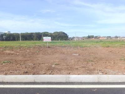 Terreno para Venda, em Iara, bairro Tereza Cristina
