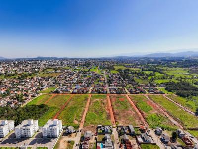 Terreno para Venda, em Iara, bairro Tereza Cristina