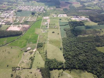 Terreno para Venda, em Morro da Fumaa, bairro Graziela