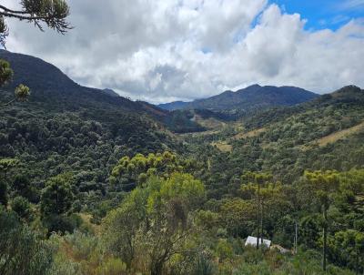 Stio para Venda, em Urubici, bairro Fazenda Bom Sucesso