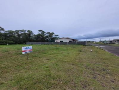 Terreno para Venda, em , bairro Aurora