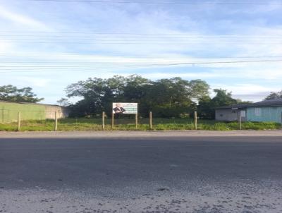 Terreno para Venda, em I�ara, bairro Jaqueline